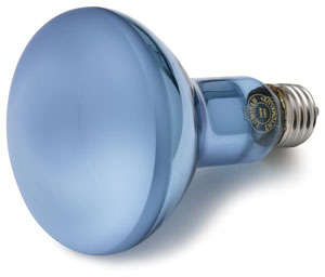 Halogen Flood Bulb