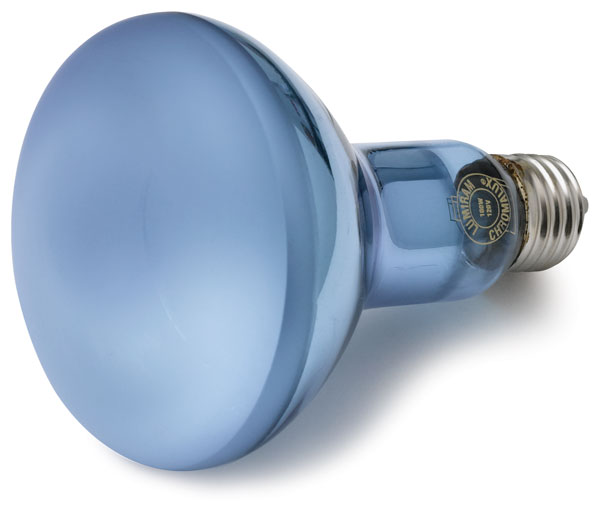 Halogen Flood Bulb