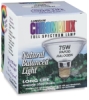 Halogen Flood Bulb