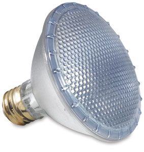 Halogen Flood Bulb