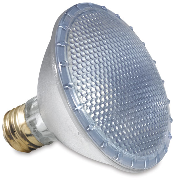 Halogen Flood Bulb