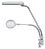 Removable Magnifying Lens