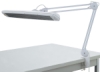 Lamp Attached to Table