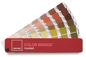 Color Bridge Coated Color Bridge Coated