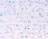 Example of painted Square Tile, 3/16"
