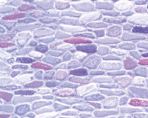 Example of painted Field Stone, 1:48 Scale