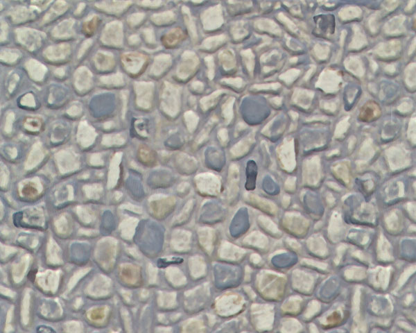 Example of painted Random Stone, 1:100 Scale