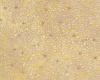 Example of painted Random Polished Stones, 1:200 Scale