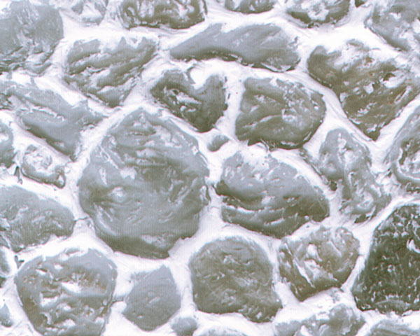 Example of painted Field Stone, Round, 1:12 Scale