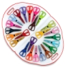 Carrying Case, Set of 24