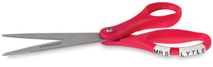 Teacher's Scissors