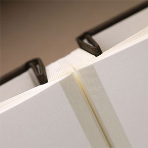 Spine Detail