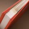 Spine Detail