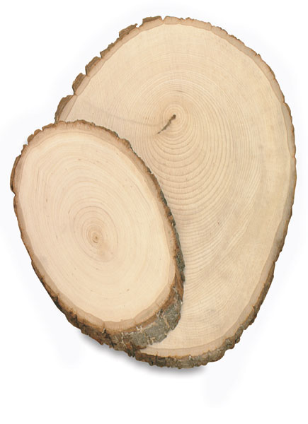 where can i buy basswood