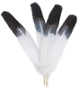 Crafty's Imitation Eagle Feathers