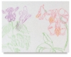Sample Artwork, Botany