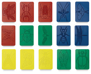 Insects