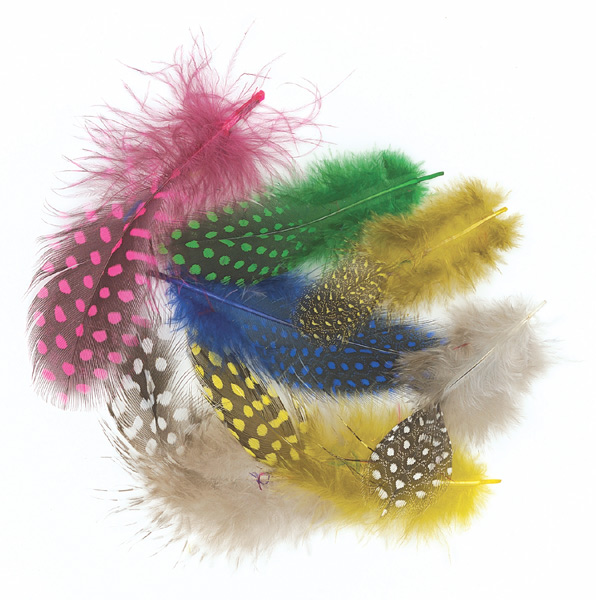 Spotted Guinea Feathers