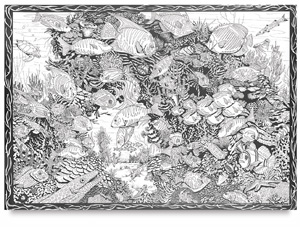 Coral Kingdom