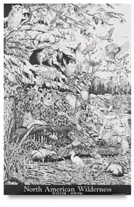 North American Wilderness I