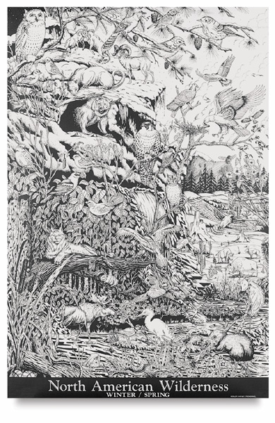 North American Wilderness I