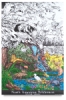North American Wilderness II