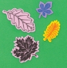 Nature Shapes
