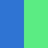 Neon Blue / Neon Green