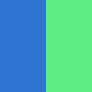 Neon Blue / Neon Green