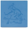 Bronco