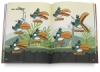 Learn to Draw Angry Birds