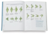 Crease and Fold: Innovative Origami Projects Anyone Can Make