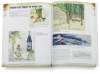 Artist’s Journal Workshop: Creating Your Life in Words and Pictures