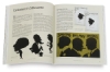 Mastering Silhouettes