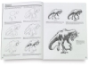 The Art of Drawing Dragons