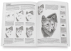 The Art of Drawing Animals