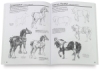 The Art of Basic Drawing