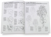 The Art of Basic Drawing