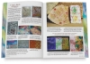 Mixed Media and Color: Fabrics, Quilts, Canvas, Paper
