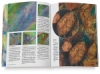 Mixed Media and Color: Fabrics, Quilts, Canvas, Paper