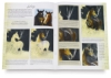 The Art of Drawing & Painting Horses