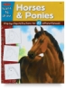 Learn to Draw Horses and Ponies