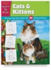 Learn to Draw Cats and Kittens