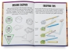 Learn to Draw Sea Creatures