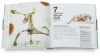 Drawing and Painting Imaginary Animals