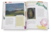 Raw Art Journaling: Making Meaning, Making Art