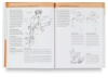 Drawing People: How to Portray the Clothed Figure