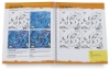 GRAFF Color Workbook