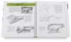 How to See, How to Draw: Keys to Realistic Drawing