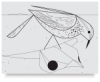 Charley Harper Coloring Book of Birds